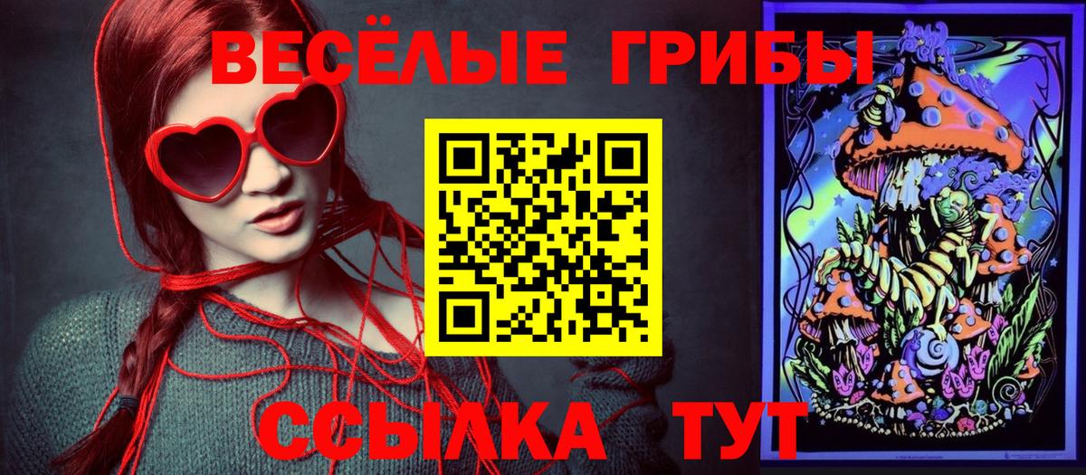 Санкт-Петербург  Псилоцибиновые грибы мицелий  Вход с VPN 