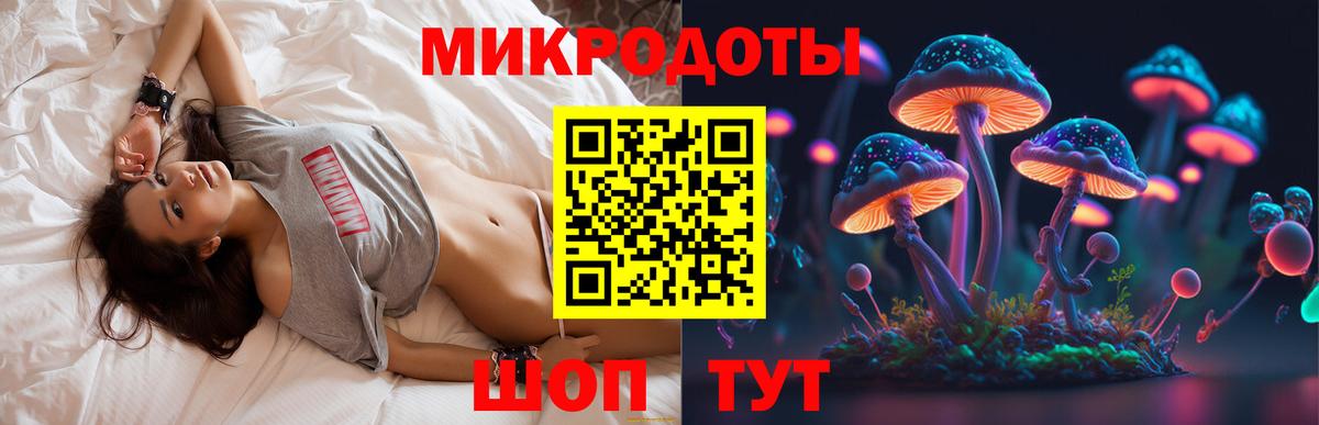Псилоцибиновые грибы GOLDEN TEACHER Санкт-Петербург